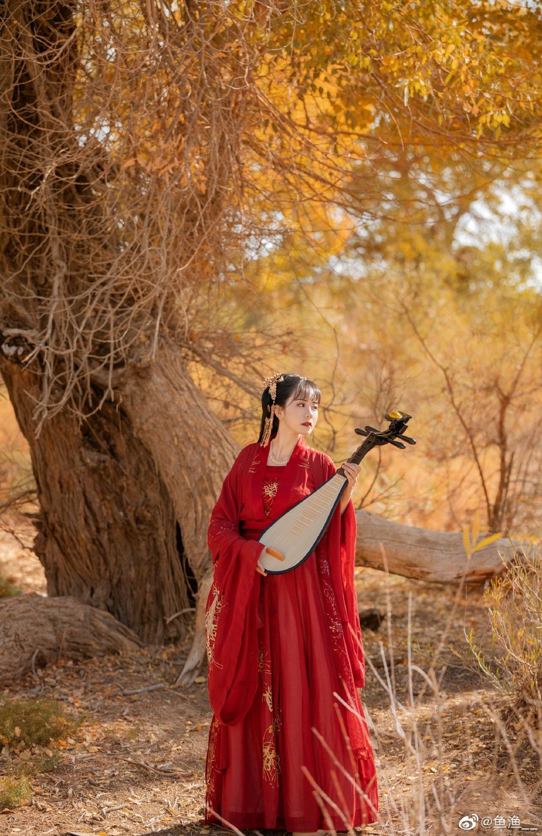 The Splendor of Tang Dynasty Hanfu Hair Accessories:A Glance into Ancient Chinese Beauty The Splendor of Tang Dynasty Hanfu Hair Accessories:A Glance into Ancient Chinese Beauty