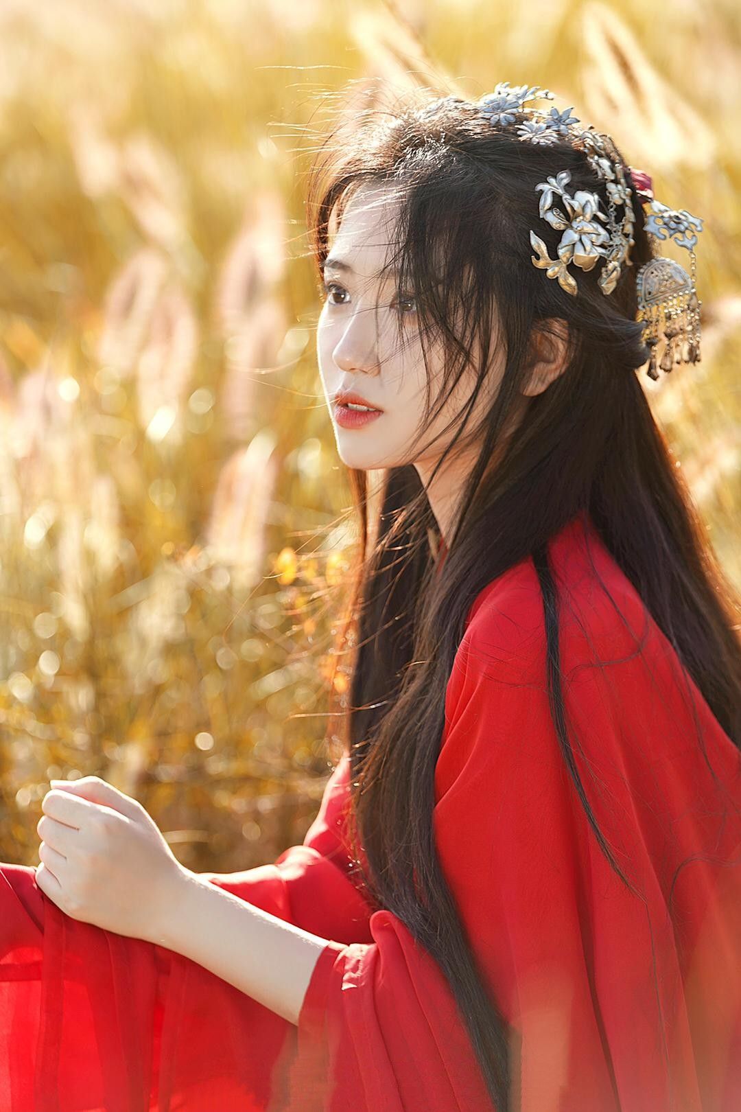 Wigs,Hanfu Fashion,and Updos for Women:A Guide to Traditional Chinese Hair Styling Wigs,Hanfu Fashion,and Updos for Women:A Guide to Traditional Chinese Hair Styling