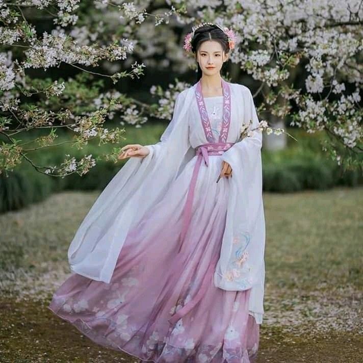 The Origin and Evolution of Qizi Skirt-Style Hanfu:A Journey Through Traditional Chinese Fashion The Origin and Evolution of Qizi Skirt-Style Hanfu:A Journey Through Traditional Chinese Fashion