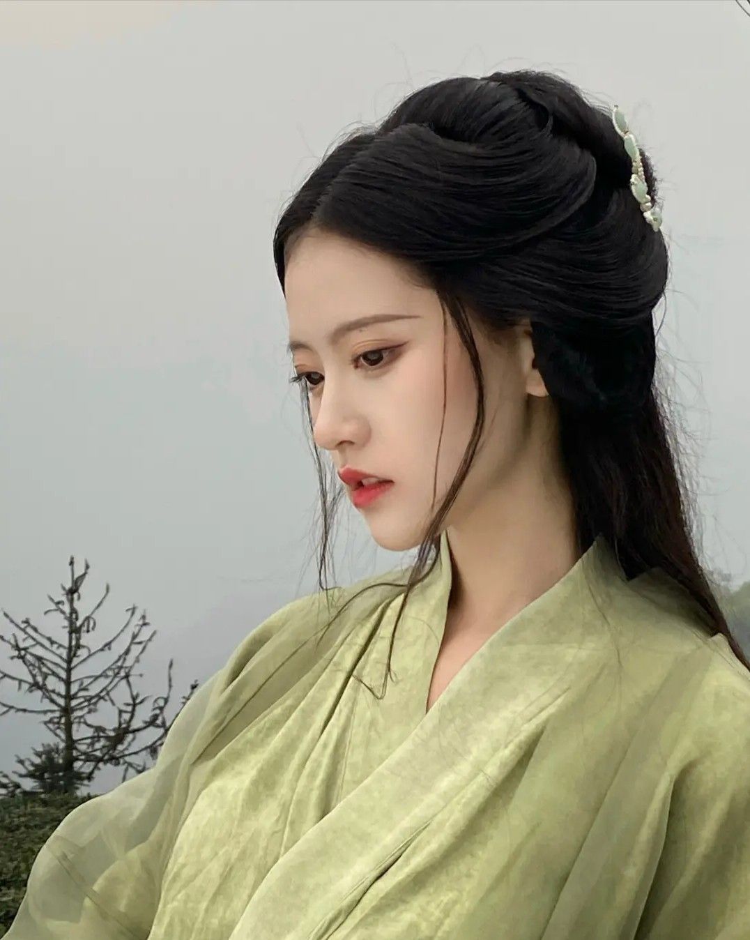 Embroidery Flourishes in Traditional Hanfu Costumes:A Cultural Journey Embroidery Flourishes in Traditional Hanfu Costumes:A Cultural Journey