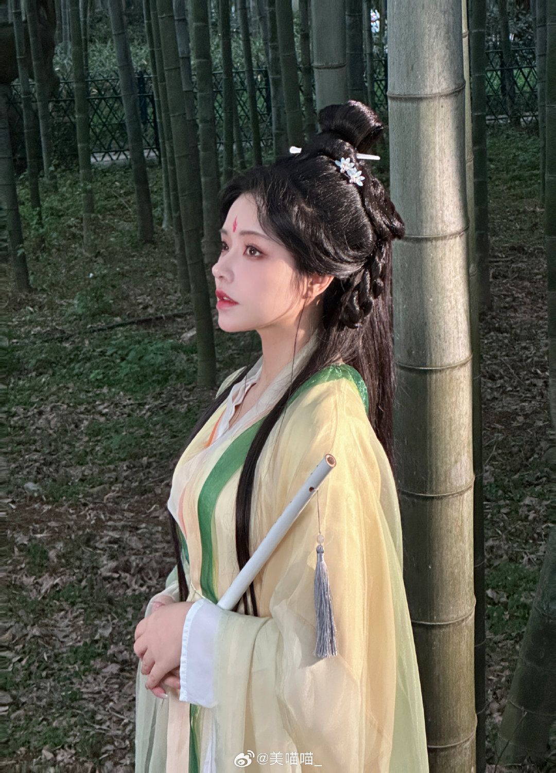 Embracing Traditional Elegance:The Youthful Allure of Tang-Style Costumes Embracing Traditional Elegance:The Youthful Allure of Tang-Style Costumes