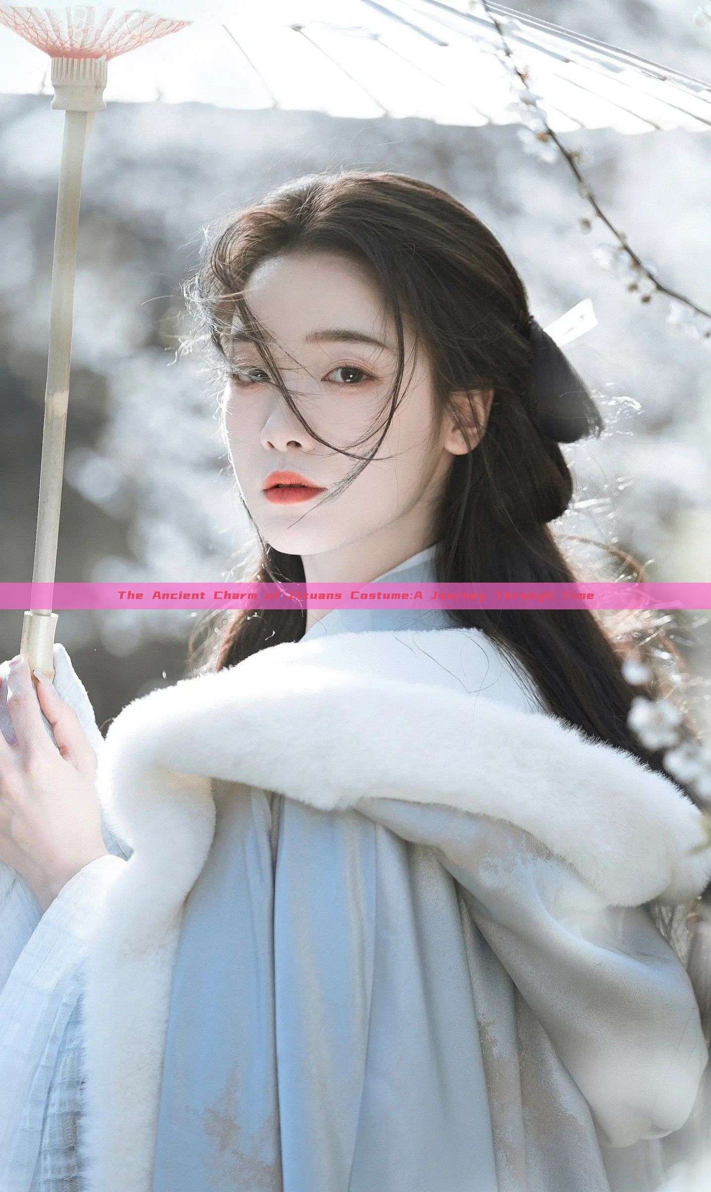 The Ancient Charm of Zixuans Costume:A Journey Through Time The Ancient Charm of Zixuans Costume:A Journey Through Time