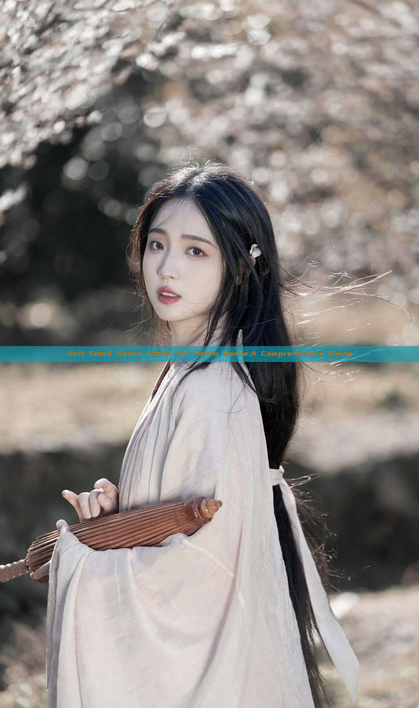 Soft-Soled Dance Shoes for Hanfu Dance:A Comprehensive Guide Soft-Soled Dance Shoes for Hanfu Dance:A Comprehensive Guide