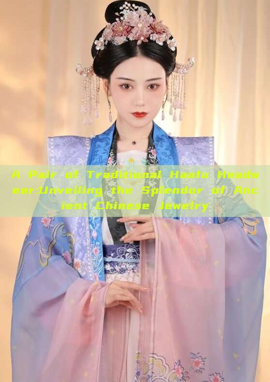 A Pair of Traditional Hanfu Headwear:Unveiling the Splendor of Ancient Chinese Jewelry A Pair of Traditional Hanfu Headwear:Unveiling the Splendor of Ancient Chinese Jewelry