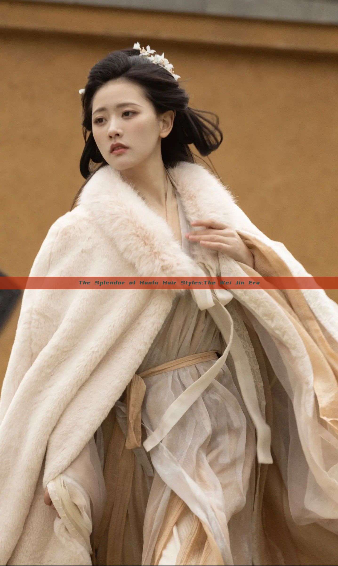 The Splendor of Hanfu Hair Styles:The Wei Jin Era The Splendor of Hanfu Hair Styles:The Wei Jin Era