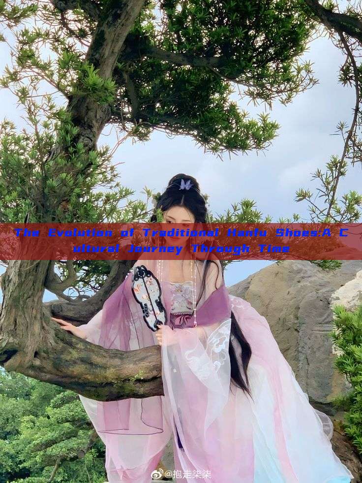 The Evolution of Traditional Hanfu Shoes:A Cultural Journey Through Time The Evolution of Traditional Hanfu Shoes:A Cultural Journey Through Time