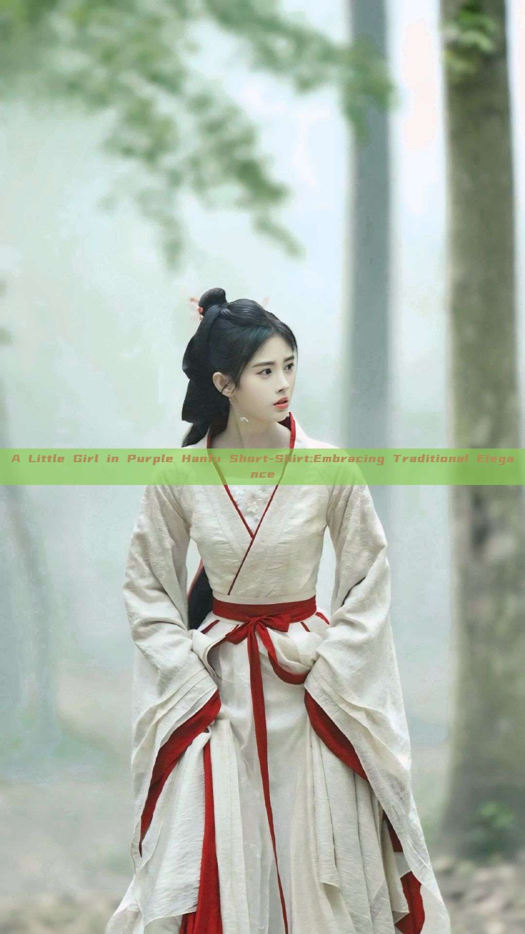 A Little Girl in Purple Hanfu Short-Shirt:Embracing Traditional Elegance A Little Girl in Purple Hanfu Short-Shirt:Embracing Traditional Elegance