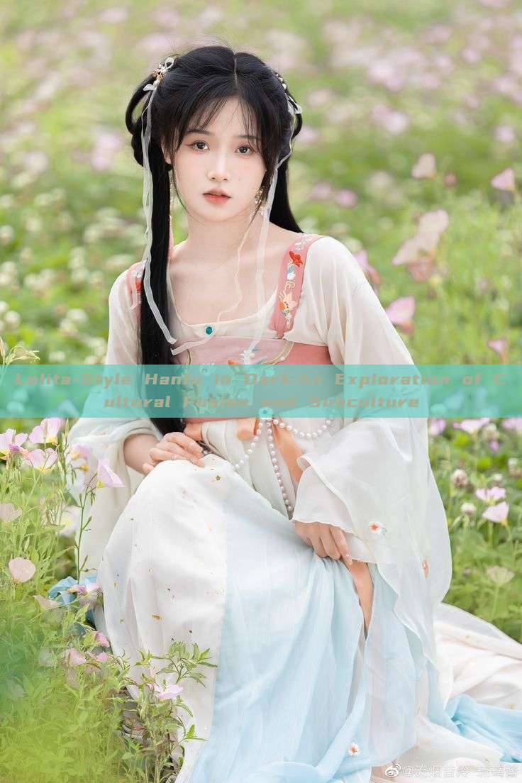 Lolita-Style Hanfu in Dark:An Exploration of Cultural Fusion and Subculture Lolita-Style Hanfu in Dark:An Exploration of Cultural Fusion and Subculture