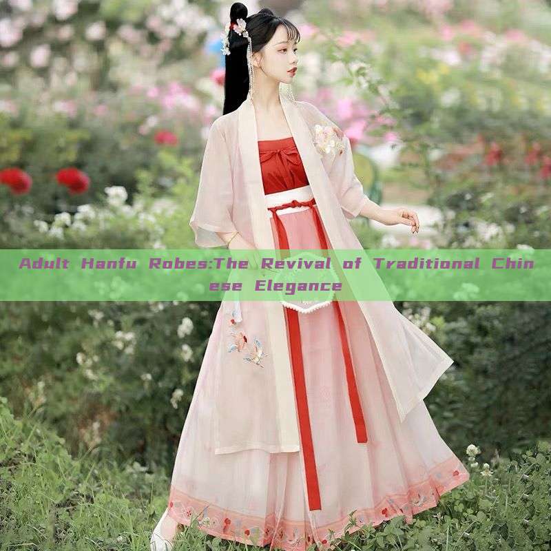 Adult Hanfu Robes:The Revival of Traditional Chinese Elegance Adult Hanfu Robes:The Revival of Traditional Chinese Elegance