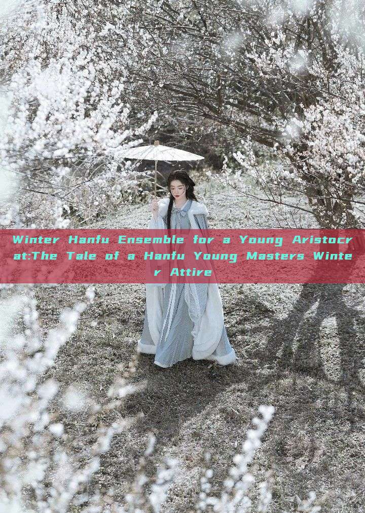 Winter Hanfu Ensemble for a Young Aristocrat:The Tale of a Hanfu Young Masters Winter Attire Winter Hanfu Ensemble for a Young Aristocrat:The Tale of a Hanfu Young Masters Winter Attire