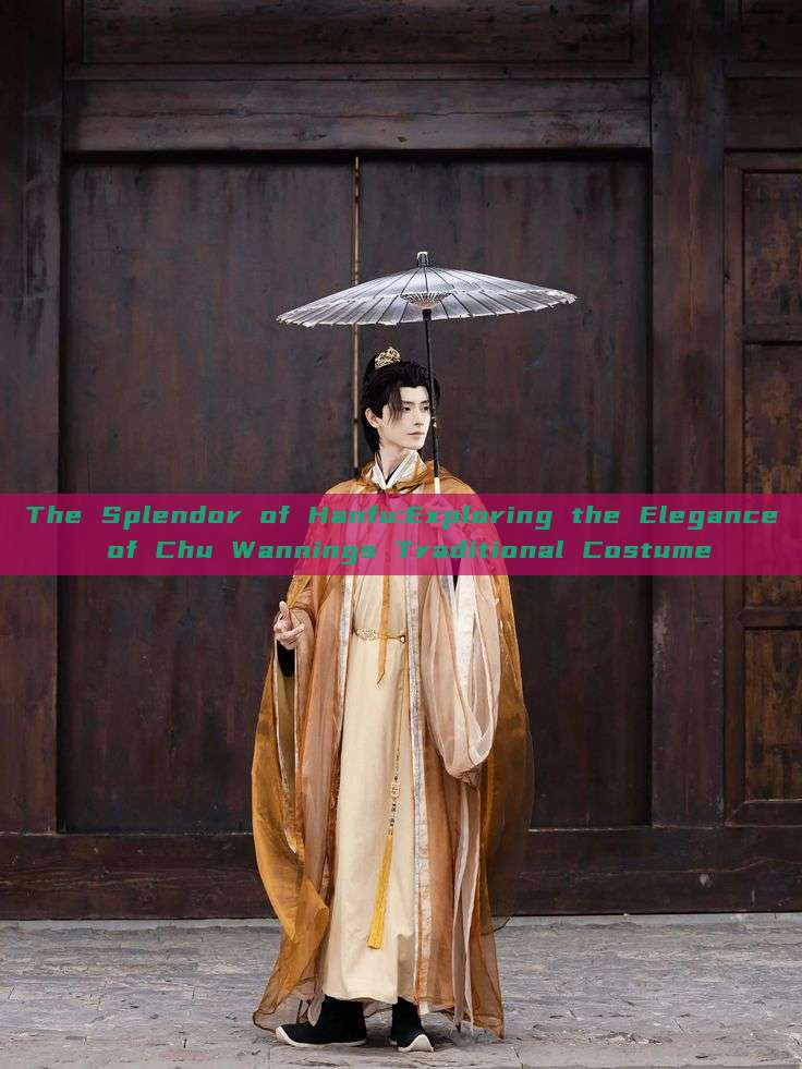 The Splendor of Hanfu:Exploring the Elegance of Chu Wannings Traditional Costume The Splendor of Hanfu:Exploring the Elegance of Chu Wannings Traditional Costume