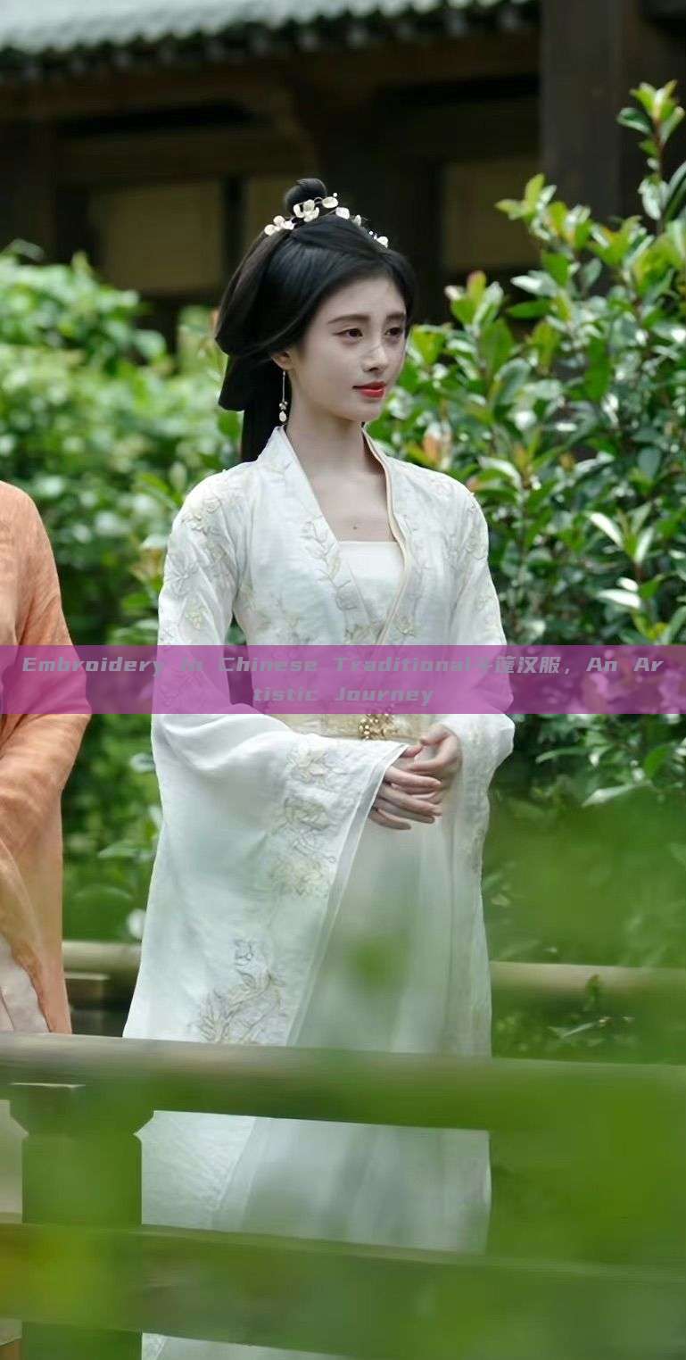 Embroidery in Chinese Traditional斗篷汉服，An Artistic Journey
