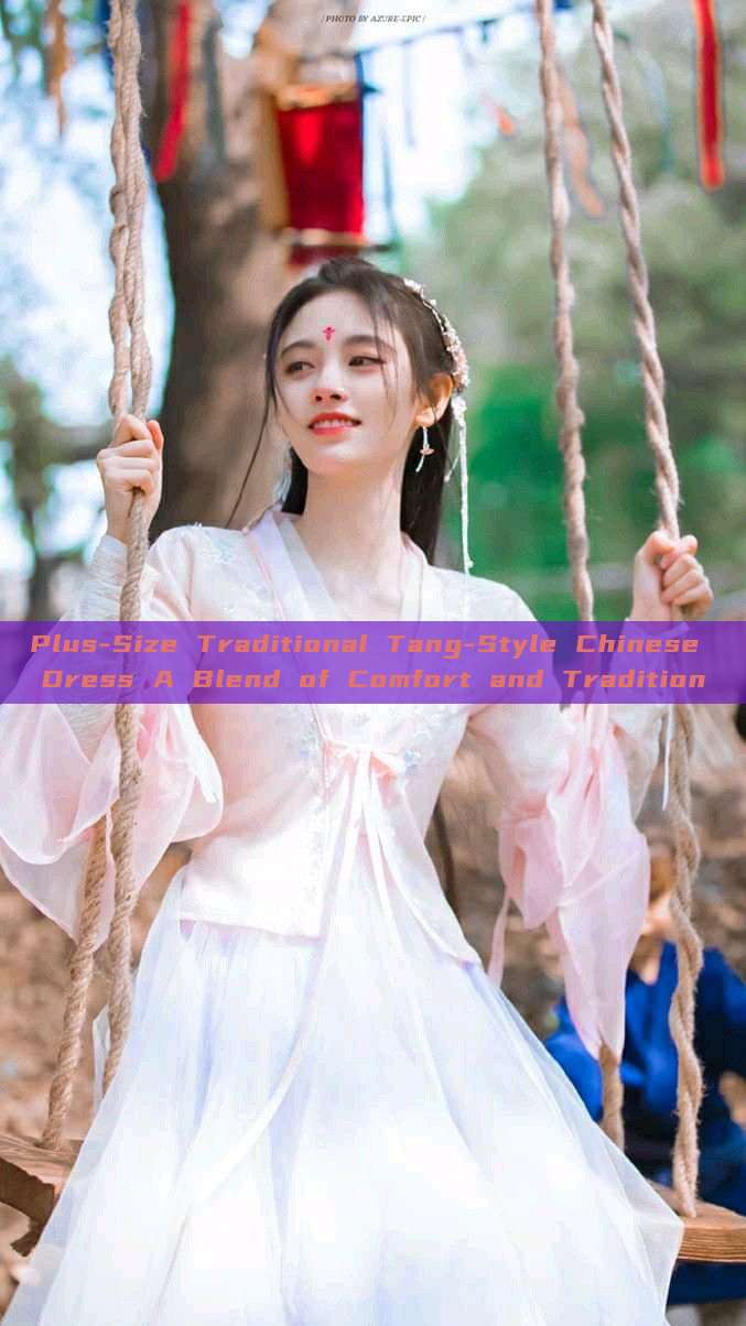 Plus-Size Traditional Tang-Style Chinese Dress A Blend of Comfort and Tradition Plus-Size Traditional Tang-Style Chinese Dress A Blend of Comfort and Tradition