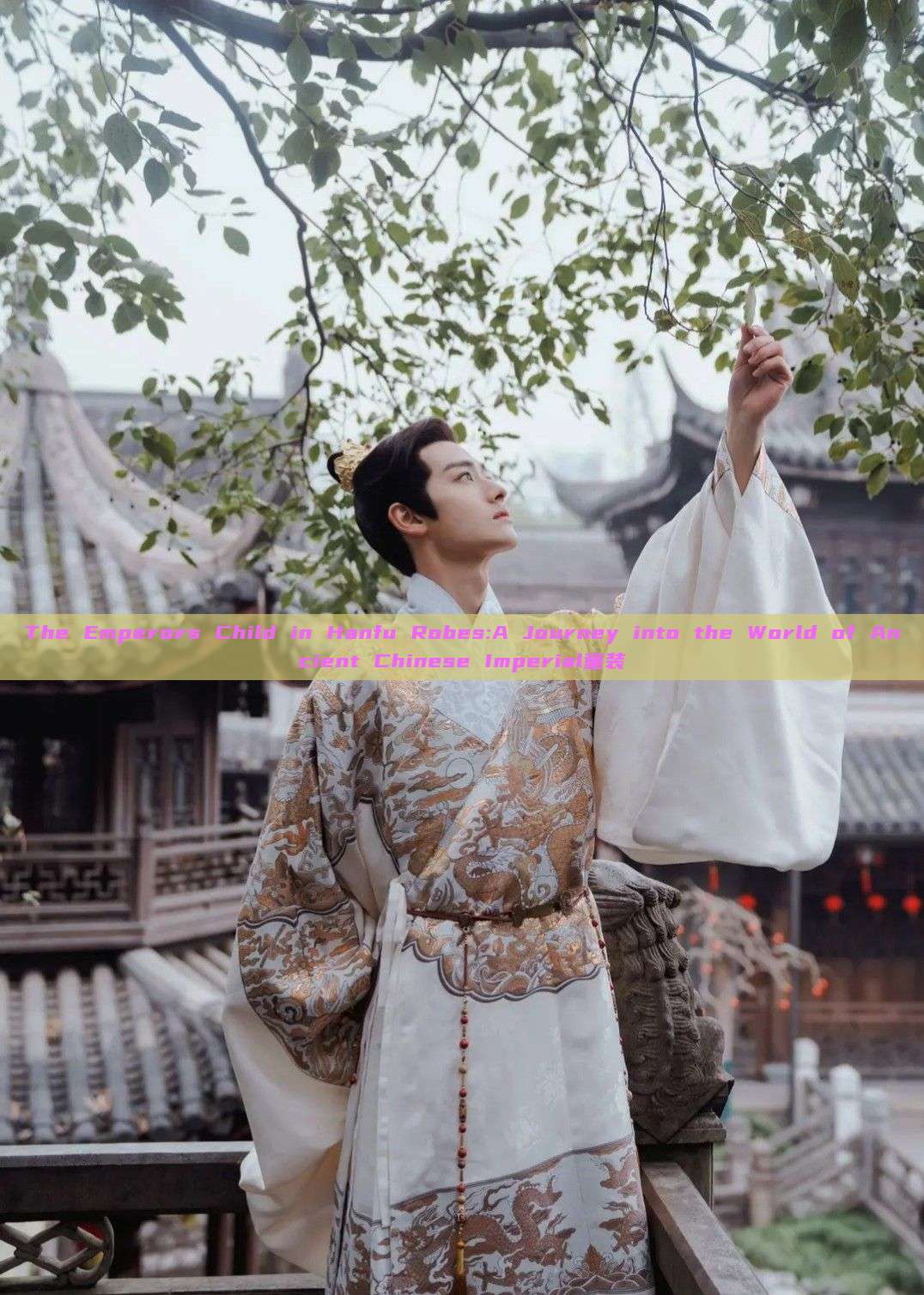 The Emperors Child in Hanfu Robes:A Journey into the World of Ancient Chinese Imperial童装 The Emperors Child in Hanfu Robes:A Journey into the World of Ancient Chinese Imperial童装