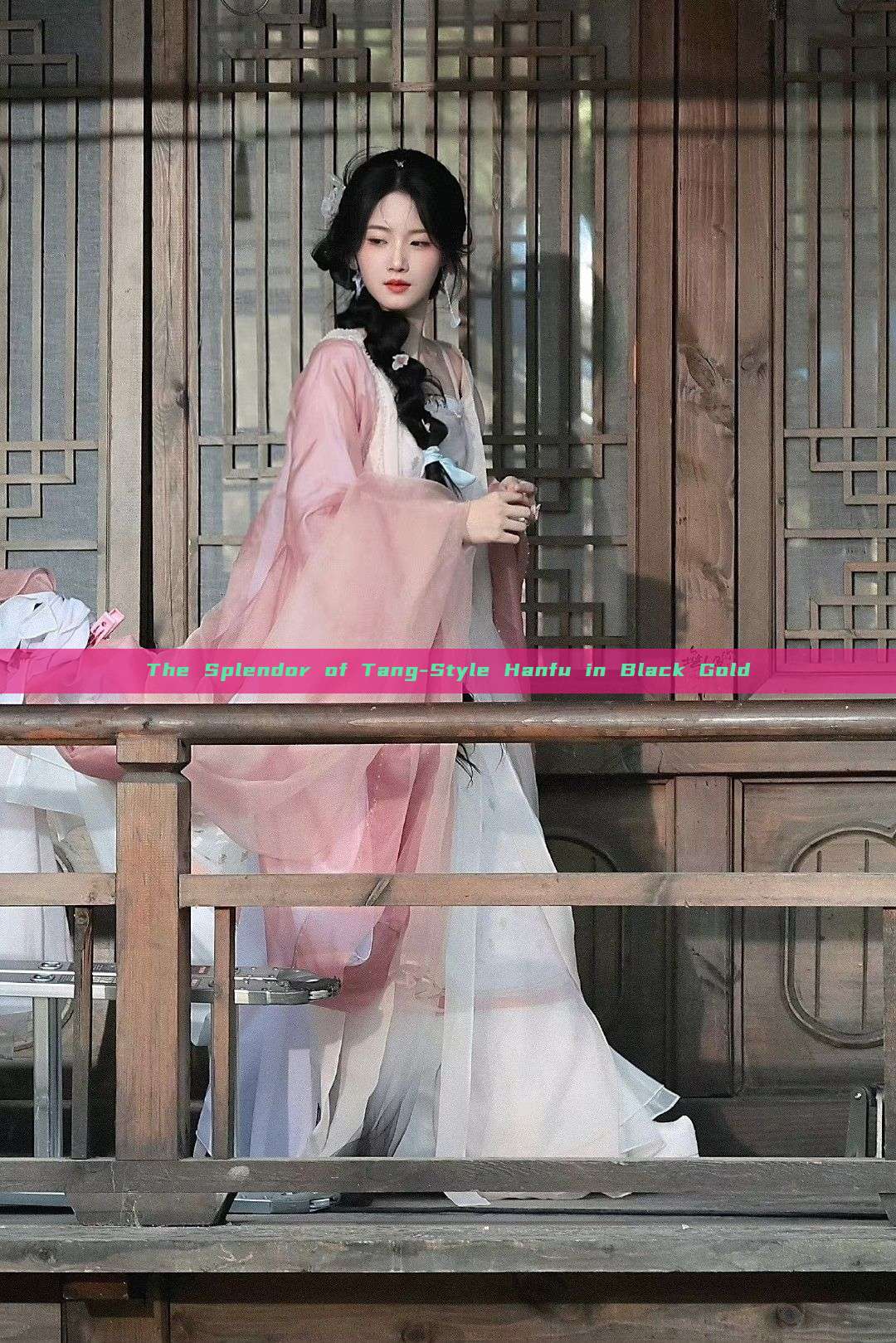 The Splendor of Tang-Style Hanfu in Black Gold The Splendor of Tang-Style Hanfu in Black Gold