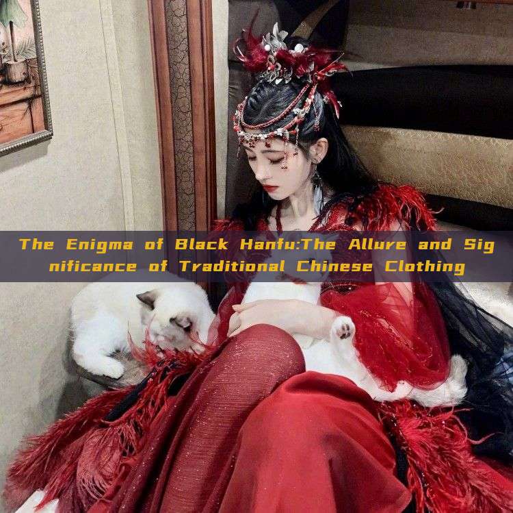 The Enigma of Black Hanfu:The Allure and Significance of Traditional Chinese Clothing The Enigma of Black Hanfu:The Allure and Significance of Traditional Chinese Clothing